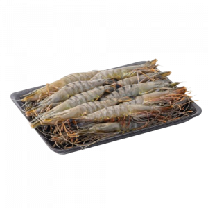 Tôm sú Việt Nam size 20c