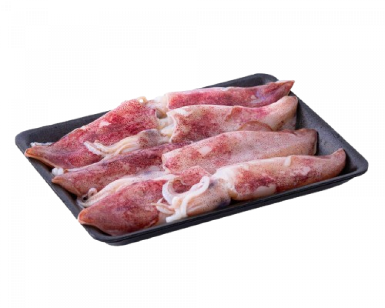 Mực ống Việt Nam